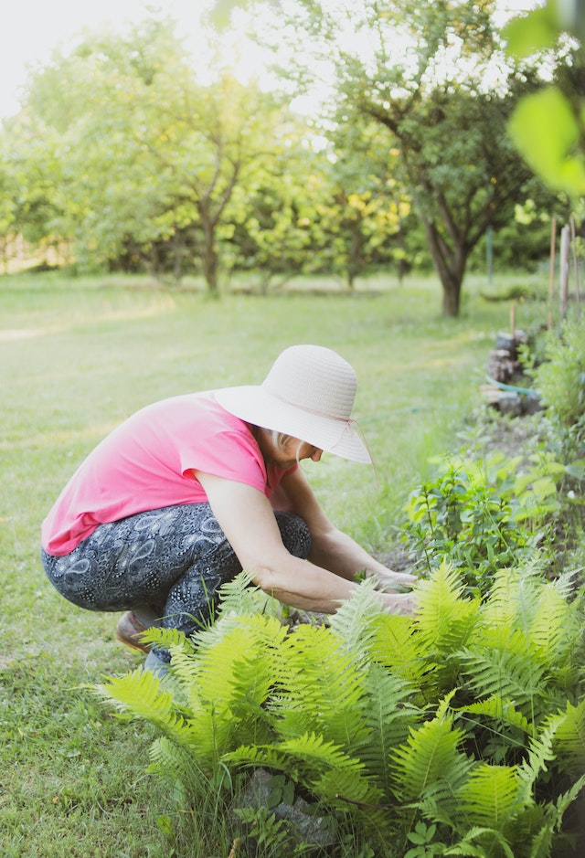 The Beauty of Gardening: Creating Your Own Outdoor Oasis